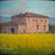 Fiori gialli in Toscana